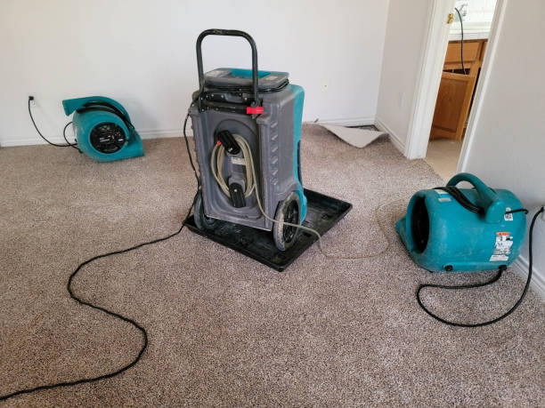 Best Sewage cleanup and water damage restoration  in Farwell, TX