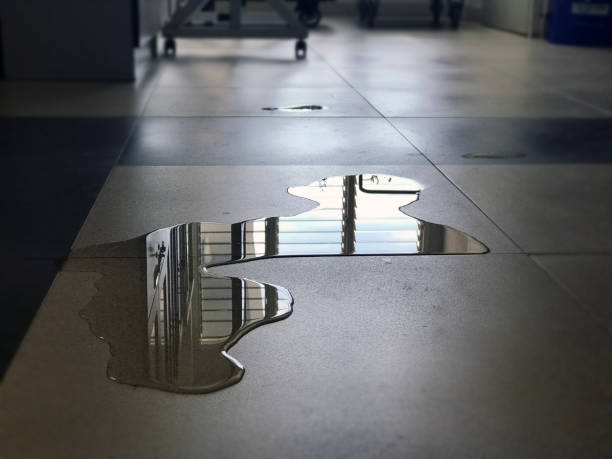 Best Professional water damage repair  in Farwell, TX