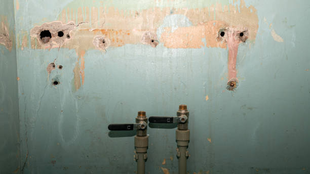 Best Carpet water damage restoration  in Farwell, TX