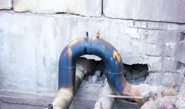 Best Water damage restoration mold remediation  in Farwell, TX