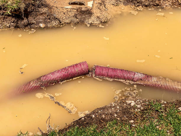 Best Basement water damage restoration  in Farwell, TX