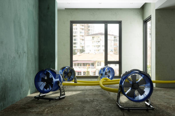 Water damage restoration mold remediation in TX