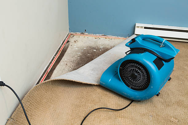  Farwell, TX Water damage restoration Pros